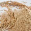 Cám gạo có nhiều dưỡng chất chăm sóc da