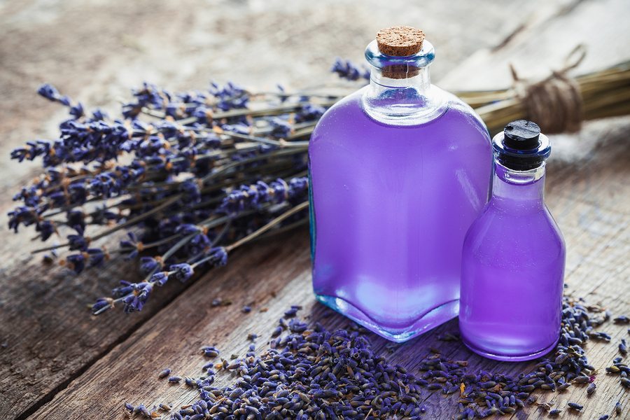 tinh dầu oải hương lavender