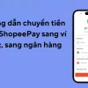 ShopeePay 13