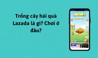 Trông cây hái quà lazada 7